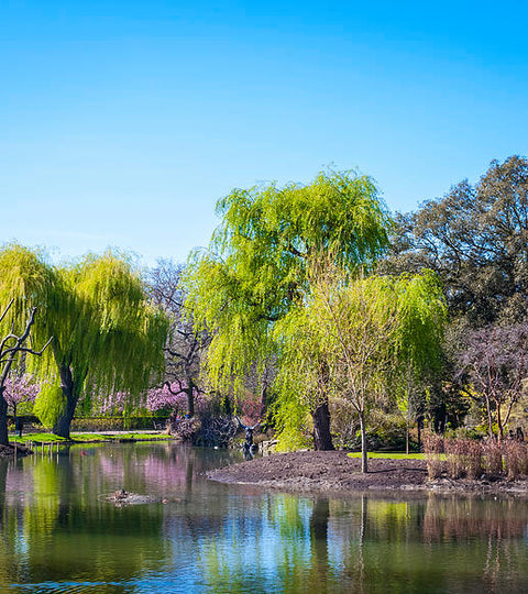 Why we love… Regent’s Park at Springtime